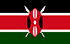 Kenya'da TGM Panel ile Nakit Kazanın